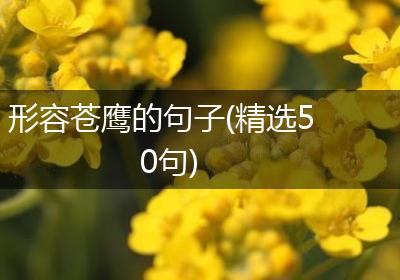 形容苍鹰的句子(精选50句)