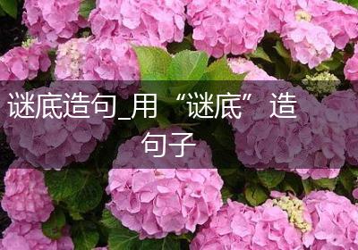 谜底造句_用“谜底”造句子