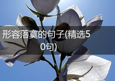 形容落寞的句子(精选50句)