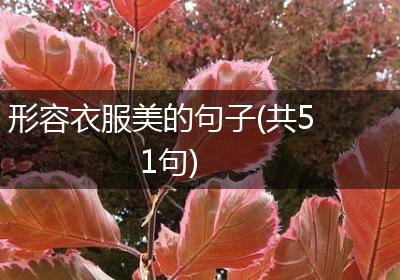 形容衣服美的句子(共51句)
