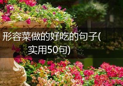 形容菜做的好吃的句子(实用50句)