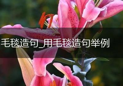 毛毯造句_用毛毯造句举例