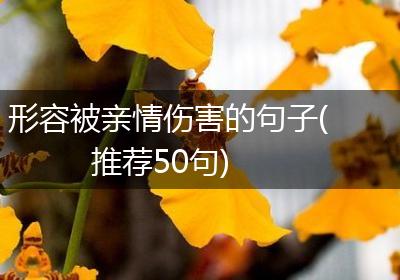 形容被亲情伤害的句子(推荐50句)