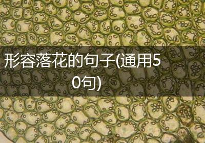 形容落花的句子(通用50句)