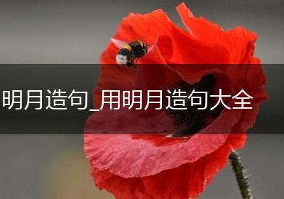 明月造句_用明月造句大全