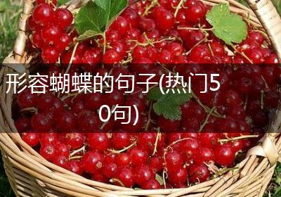 形容蝴蝶的句子(热门50句)