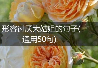 形容讨厌大姑姐的句子(通用50句)