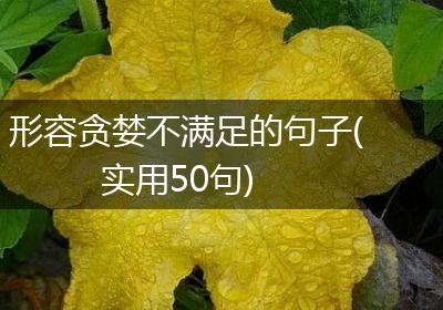 形容贪婪不满足的句子(实用50句)