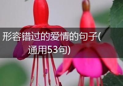 形容错过的爱情的句子(通用53句)