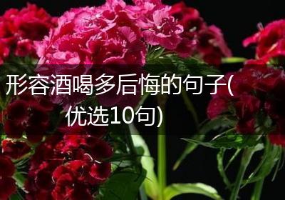 形容酒喝多后悔的句子(优选10句)
