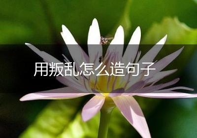 用叛乱怎么造句子