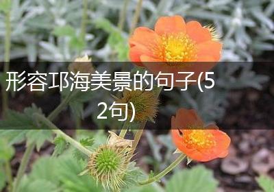 形容邛海美景的句子(52句)