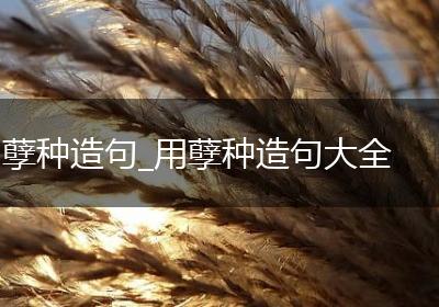 孽种造句_用孽种造句大全