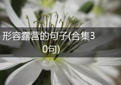 形容露营的句子(合集30句)