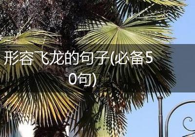 形容飞龙的句子(必备50句)