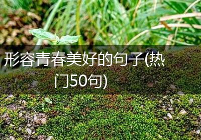 形容青春美好的句子(热门50句)