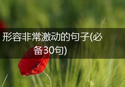 形容非常激动的句子(必备30句)