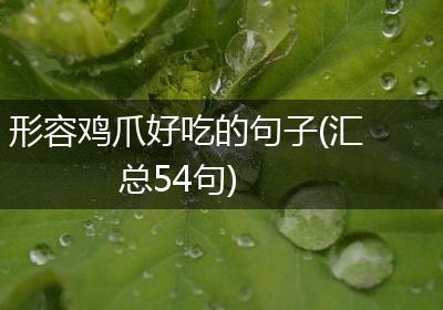 形容鸡爪好吃的句子(汇总54句)