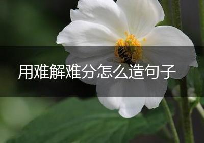 用难解难分怎么造句子