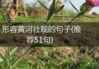 形容黄河壮观的句子(推荐51句)