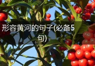 形容黄河的句子(必备5句)
