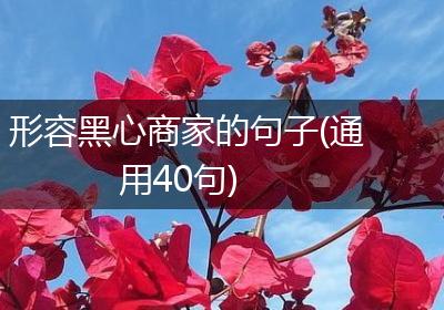 形容黑心商家的句子(通用40句)
