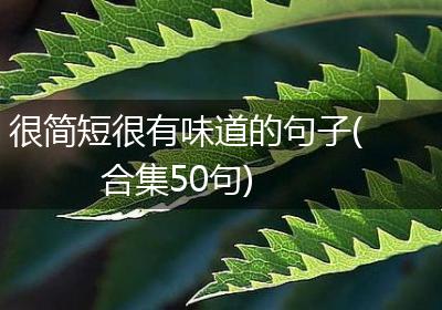 很简短很有味道的句子(合集50句)