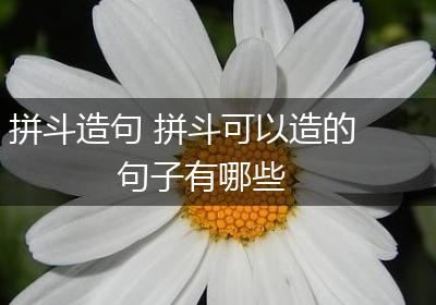 拼斗造句 拼斗可以造的句子有哪些