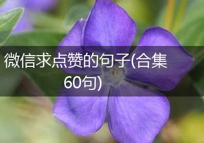 微信求点赞的句子(合集60句)