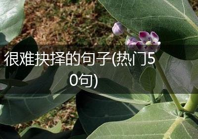 很难抉择的句子(热门50句)