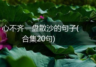 心不齐一盘散沙的句子(合集20句)