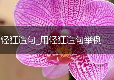 轻狂造句_用轻狂造句举例