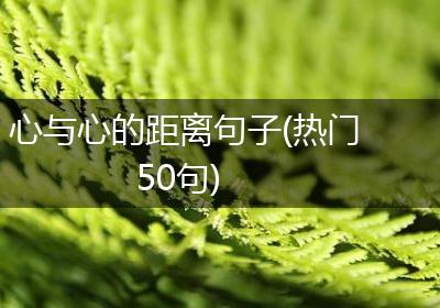 心与心的距离句子(热门50句)