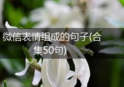 微信表情组成的句子(合集50句)