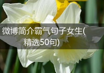 微博简介霸气句子女生(精选50句)