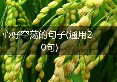 心好空荡的句子(通用20句)