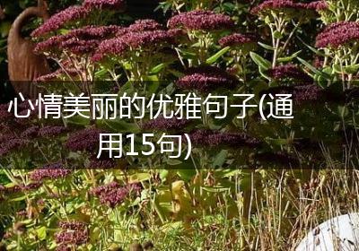 心情美丽的优雅句子(通用15句)