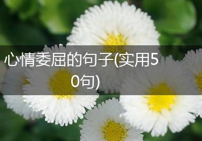 心情委屈的句子(实用50句)