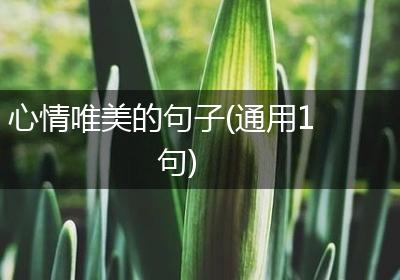 心情唯美的句子(通用1句)
