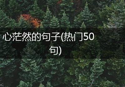 心茫然的句子(热门50句)