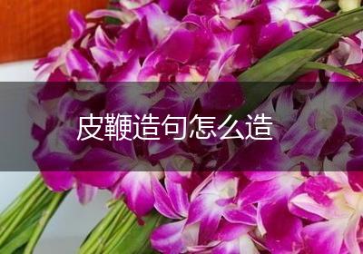 皮鞭造句怎么造