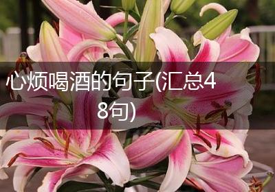 心烦喝酒的句子(汇总48句)