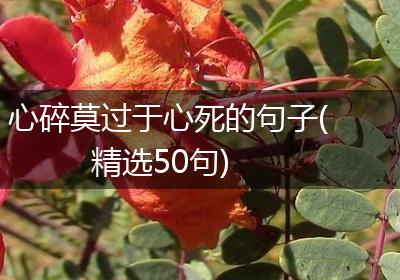 心碎莫过于心死的句子(精选50句)