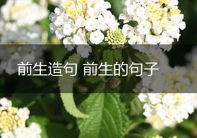 前生造句 前生的句子