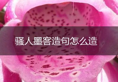 骚人墨客造句怎么造
