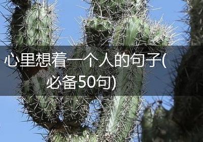 心里想着一个人的句子(必备50句)