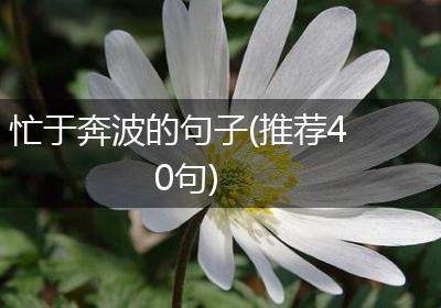 忙于奔波的句子(推荐40句)