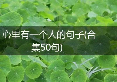 心里有一个人的句子(合集50句)