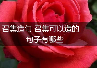 召集造句 召集可以造的句子有哪些