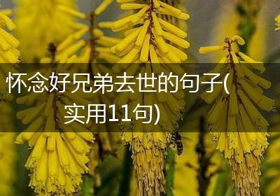 怀念好兄弟去世的句子(实用11句)